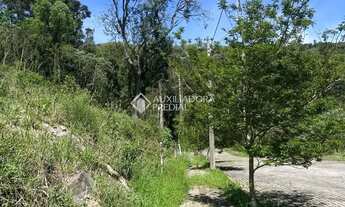 Imagem: Loteamento Bosque das Araucárias - Linha