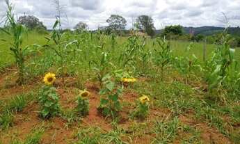 Imagem 2: Terreno em Medeiros - itatiaiuçu 8000m2 - lagoa e Mata no fundo