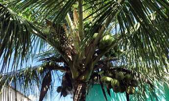 Imagem 3: CASA A VENDA EM BARRA DE SANTO ANTÔNIO - AL
