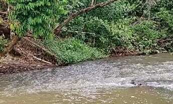 Imagem 5: Chácara em Trindade