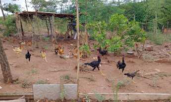 Imagem 5: Vende se chácara