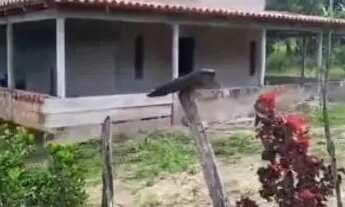 Imagem: Casa Grande Com Sítio