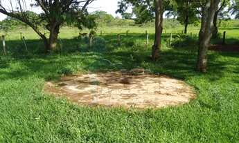 Imagem 6: Sítio com 5 alqueires para locação - Jardinópolis