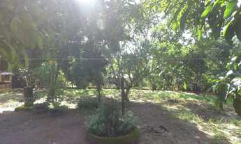 Imagem 6: Chácara Na zona Rural do Girassol Goiás