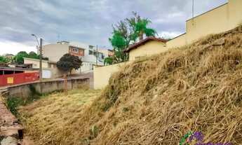 Imagem 6: TERRENO - JARDIM VILA ROSA - SP