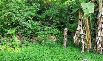Imagem 2: Sítio em Piratininga (Jacaré), Niterói. Na frente do Ouro verde, 13000m2