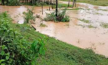 Imagem 6: Imóvel para venda possui 800000 metros quadrados em a - Careiro - AM