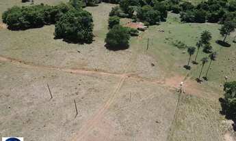 Imagem 4: Fazenda à Venda em Sanclerlândia (GO) 64 Alqueires, Terra Produtiva