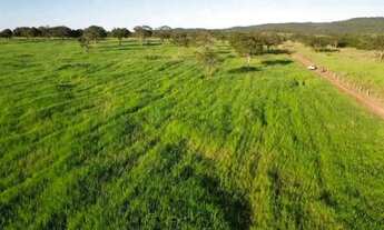 Imagem 3: Fazenda Próximo da cidade de Jangada MT