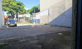 Imagem 6: Barracão - Parque Irmaos Pedroso - Paulínia