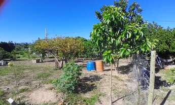 Imagem 4: Mini Chácara Chácara com venda por R$45.000