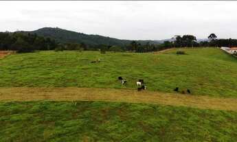 Imagem 4: Lotes a venda com condições super facilitadas