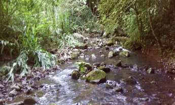 Imagem 5: Sítio.!! st426 Chácara com venda por R$280.000