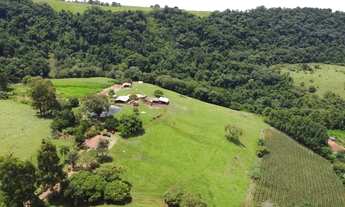 Imagem 6: Sítio de 6,5 alqueires em Pardinho-SP