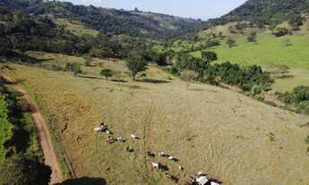 Imagem: Terrenos de 20 mil m² na Região de Botucatu