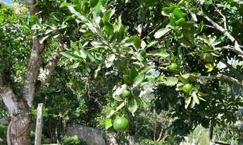 Imagem 7: Belíssima Chácara 1925m² C/piscina Escriturada A 1km Do Centro De Juquitba-SP