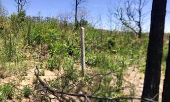 Imagem 6: Lote de 2.500 m² para construir