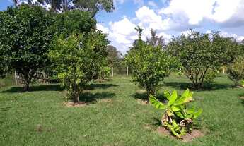 Imagem 7: Boituva - Chácara - Sítio Santa Cruz