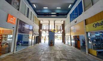 Imagem 7: Excelente Apartamento Edifício Santa Clara 220m2