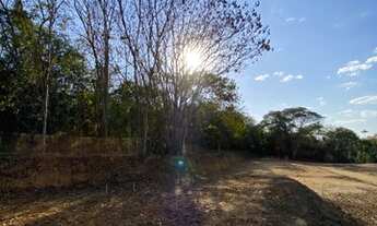 Imagem 5: Compre sua casa na planta e receba já pronta para morar! Urbanova