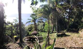 Imagem 4: Terreno vista mar - Veloso -Ilhabela