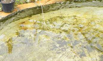 Imagem 6: Chácara Linda E Aconchegante - Tatuí - Sp