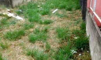 Imagem 4: Caraguatatuba - Terreno Padrão - Praia das Palmeiras