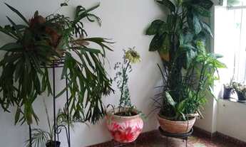 Imagem 4: Casa para venda com 168 metros quadrados com 3 quartos em Centro - Tatuí - SP