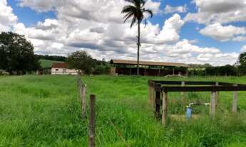 Imagem 4: Lote/Terreno para venda possui 180000 metros quadrados com 1 quarto em Centro - Cajuru - S