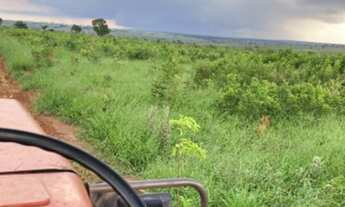 Imagem: Fazenda em Ribas do Rio Pardo