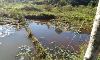 Imagem 2: VENDO CHACARA DE 40.000M² COM ESCRITURA NO EMBU GUAÇU DIVISA COM JUQUITIBA (4153