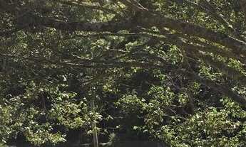 Imagem 3: Chácara na divisa Guarulhos/Mairiporã pronta para Locação