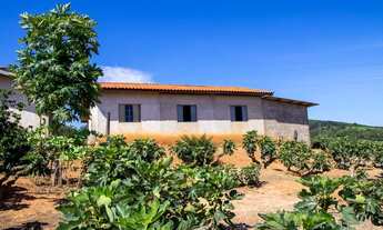 Imagem 6: Fazenda/Sítio/Chácara para venda tem 200 metros quadrados com 2 quartos