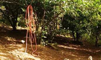 Imagem 6: Chácara em Mairinque