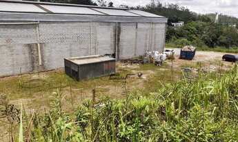 Imagem 4: Excelente Galpão