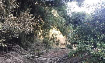 Imagem 6: Sobrado a venda em Santo Antonio do Pinhal-SP