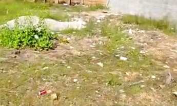 Imagem 3: Oportunidade Para Investidores