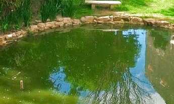 Imagem 5: TERRENO CONDOMINIO FECHADO RESERVA DA MATA/MONTE MOR