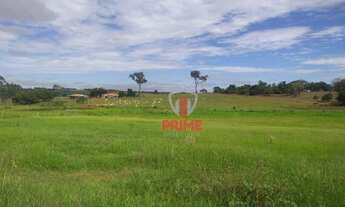 Imagem 2: Fazenda à venda 53 Alqueires por R$ 6.890.000 - Sandovalina/São Paulo