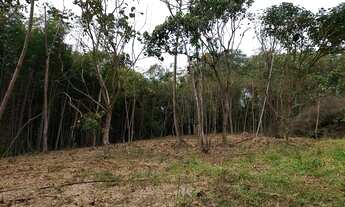 Imagem: Área com excelente localização