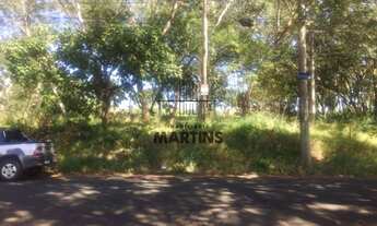 Imagem 3: Local com asfalto