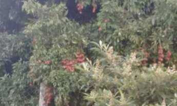 Imagem 2: CHÁCARA A VENDA EM ÁGUAS DA PRATA!!!!