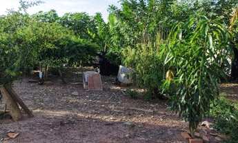 Imagem 3: PIRACICABA - Terreno Padrão - Parque Residencial Piracicaba Balbo