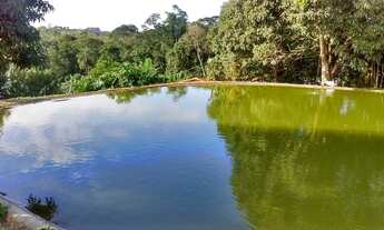 Imagem 7: Chácara para venda possui 500 metros quadrados com 4 quartos