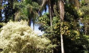 Imagem 3: Fazenda/Sítio/Chácara para venda com 64000 m² Serra da Cantareira R$ 5.000.000,00