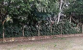 Imagem 2: Terreno em Franca