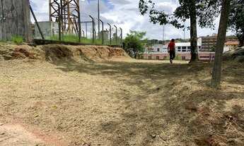 Imagem 3: Lote/Terreno comercial para venda com 372 metros quadrados em Centro - Vargem Grande Pauli