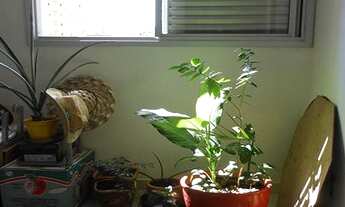 Imagem 7: Apartamento no Bairro Centro - Condominio Porto Belo na c