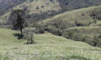 Imagem 4: Fazenda/Sítio/Chácara para venda com 290400 metros quadrados com 2 quartos