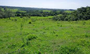 Imagem 4: Sítio, Chácara, Terreno a Venda com 77.500 m² 3,2 Alqueres em Bairro Rural - Porangaba - S